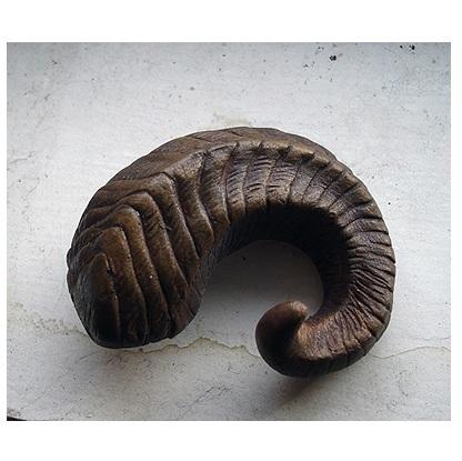 สีธรรมชาติ