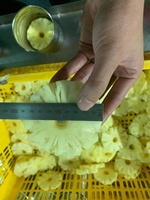 SUNRISE INS Geblikte Ananas & Passievruchtensiroop Reepjes 0,5kg Blik Tho Vietnam