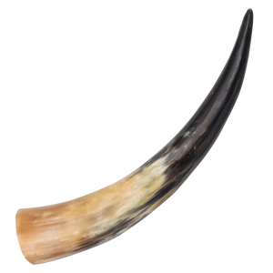 Natural Viking Drinking Horn Premium Quality Buffalo Viking Horn Customized Size and Cheap Price - Product Image 5