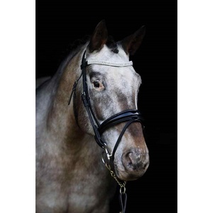 Brida de caballo de charol Mega Bling Wave Brow Band Heavy Padded Anatomic Air Pressure Headpiece Quality Horse Proveedor - Product Image 1