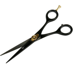 Ensemble de ciseaux de coiffeur 3PRO en acier inoxydable de haute qualité, meilleure lame droite avec pointe pointue pour les tailles de base, outil de beauté et d'amincissement - Product Image 6