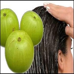 Suministro a granel Amla Carrier Oil Producto de alta calidad - Product Image 4