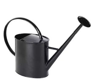 Arrosoir moderne de luxe, 1 pièce, pour salon, balcon, jardin, jardinière décorative, Pot de arrosage en fer chromé - Product Image 6