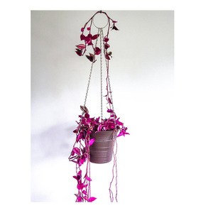 Copper Antiqui Hanging <b>Small</b> Indoor and Outdoor Hanging Planters Decorative on Sale - Product Image 1