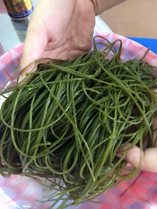 ก๋วยเตี๋ยวแห้ง/ก๋วยเตี๋ยวมะรุม/ก๋วยเตี๋ยวข้าวมังสวิรัติ - Product Image 5