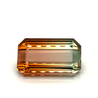 Pierre de bio-tourmaline naturelle certifiée IGI Pierres précieuses rares taillées dans un octogone à facettes Grossiste Boutique en ligne à Prix de revendeur Usine de bricolage