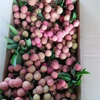 VIETNAM ROOD DELICIEUZE ZOETE BIOLOGISCHE VERS ZAADLOZE LYCHEE Graad 1 5kg/10kg Karton Klaar om te eten