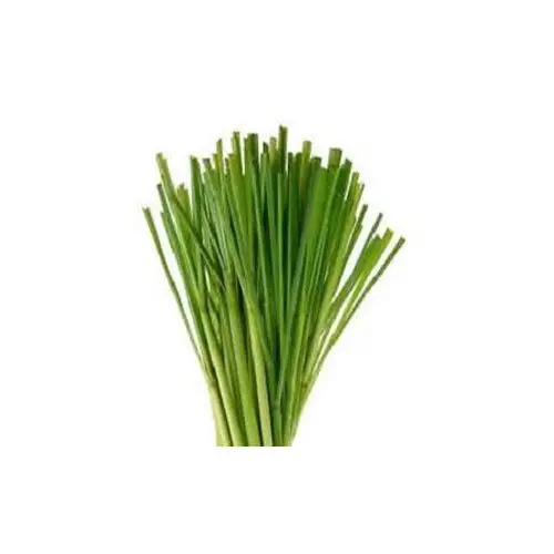 Huile essentielle aromatique Pure & naturelle gingembre herbe diffuseur d'huile essentielle d'aromathérapie à bas prix
