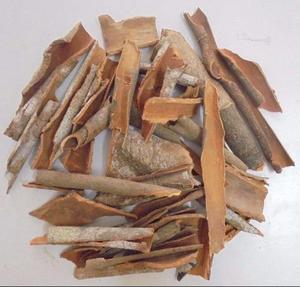 Meilleure vente WS + 84359166896 Prix attractif Mélange normal vietnamien séché Peau Cassia Herb Raw Ad-Dried Ready Single Spices Herbs - Product Image 6