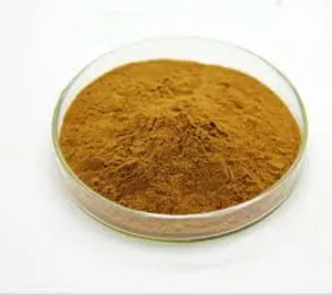 High Grade Organic Malaysia Herbs Extract Kacip Fatimah (Labisa Pumila) Powder Promotes Women's Wellness