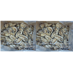 Vỏ Chất Lượng Cao Nhật Bản Bao Bì Theo Phong Cách Số Lượng Lớn Tính Năng Kệ Xuất Xứ Đầy Đủ Cuộc Sống Đa Dạng Đông Lạnh Nguyên Oyster <span class=keywords><strong>Half</strong></span>-<span class=keywords><strong>Shell</strong></span> - Product Image 1