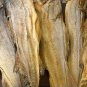 Poisson séché FD de haute qualité et tête de poisson BQF congelée certifiée ISO de qualité A, morue séchée salée pour les clients - Product Image 2