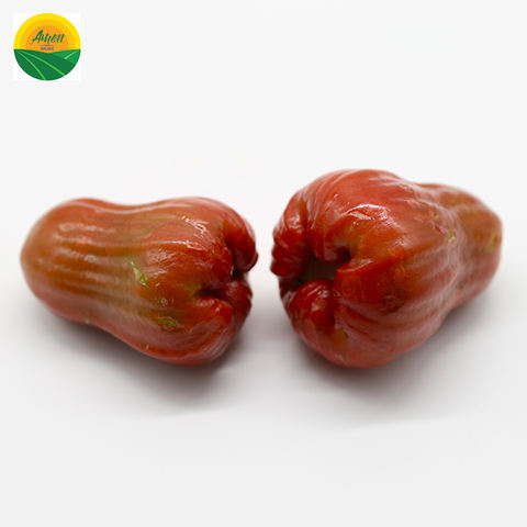 fresh rose apple/bell fruit/water apple