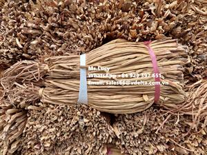 Vente en gros de matières premières écologiques jacinthe d'eau sèche/jacinthe d'eau séchée pour la fabrication d'artisanat Mme Lily + 84 906927736 - Product Image 4