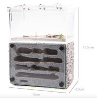 Formicarium d'observation classique AD2 en plastique écologique pour l'élevage des fourmis, Nid de fourmis, Terrarium pour fourmis, 14x8.5x18.5cm