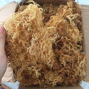 Geles de musgo de mar Morado para elaboración de eucheuma de algodón, 0084817092069 W - Product Image 3