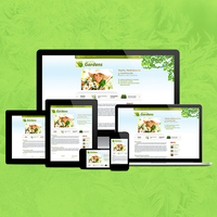 Entreprise de conception et de développement web de qualité supérieure en Inde |   Services de conception et de développement de sites web primés par Webroot Infosoft