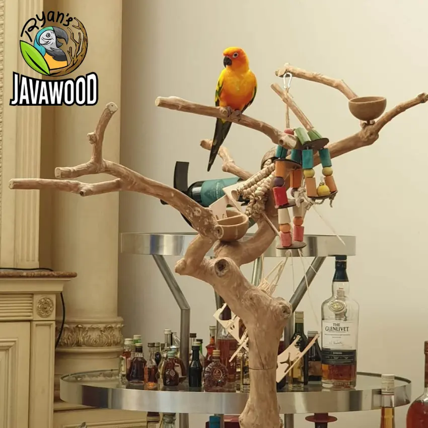 Customized Desain Parrot Pet Bird Natural Standing Stick Bird Cage Accessories Claw Stick Rod Perching Bar Stand