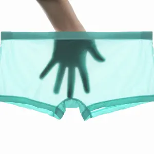 남성 원활한 통기성 섹시한 Loincloth 속옷 비키니 팬티 망 얼음 실크 복서 반바지