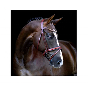 Brida de Cuero Marrón Duradera y Cómoda Rub International, Impresionante Banda Frontal de Cristal Color Ámbar Champán, Modelo 7860B para Caballo - Product Image 1