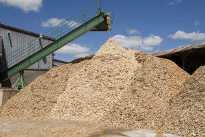 Vente de copeaux de bois d'acacia//pin//eucalyptus du Vietnam pour la fabrication de papier /// Prix bas - Product Image 6