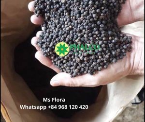 Pimienta Negra JUMBO de 5MM, precio de fábrica de VIETNAM, en venta + 84968120420 - Product Image 4