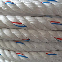 Haute qualité 3/4 brins cordon 3mm 4mm Monofilament/Danline/Film couleur corde taille personnalisée Nylon/PP/papier emballage inde pour