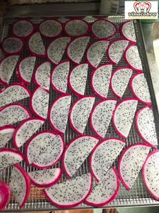 Calidad superior 100% Natural SUAVE SECADO DRAGON FRUTA Sabor agrio AD Proceso Paquete de secado al vacío a granel Vietnam-El mejor precio - Product Image 6