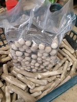Jouet à mâcher pour chien en bois de café 100% naturel et durable - Bois de Java pour chiens