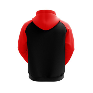 Sweat à capuche sport pour homme de haute qualité, tissu écologique, séchage rapide, coupe classique, décontracté, pour la salle de sport, le jogging, la remise en forme, l'hiver - Product Image 4