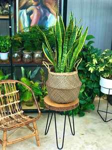 Elegante cesta de vientre de algas marinas naturales Cesta de almacenamiento vietnamita hecha en fábrica - Product Image 4