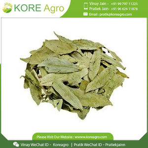 Feuilles de Senna naturelles à haute demande, fabrication et livraison depuis l'italie - Product Image 5