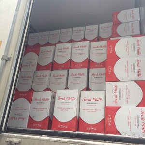 Chiles Rojos Orgánicos Congelados sin Tallo, Frescos, 24 Bolsas de 150 Gramos por Caja, Envasados al Vacío, Sabor Picante, Directo de la Agricultura de Vietnam - Product Image 4