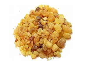 Huile Essentielle Pure de Galbanum 100% Biologique, Origine Turquie, Certifiée GMP, Distillée à la Vapeur, Approvisionnement en Gros - Product Image 3