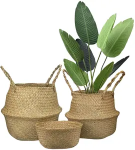 Home Plant Basket Woven Seagrass Basket for Indoor Plants Hand Crafted Natural Picnic Straw Basket