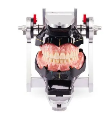 IFUN เรซินฐานฟันปลอมที่เข้ากันได้ทางชีวภาพ,สีแดงอ่อนสำหรับคลินิกทันตกรรมและช่างเทคนิค