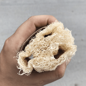 EXPORTATION DE BROSSE EN LOOFAH BRUT 100% NATUREL POUR L'UTILISATION SUR LE CORPS, ÉLIMINATION DES ODEURS/DÉHUMIDIFICATION, EN PROVENANCE DU VIETNAM - Product Image 2