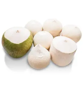 Высокое качество свежего кокосового ореха из Вьетнама