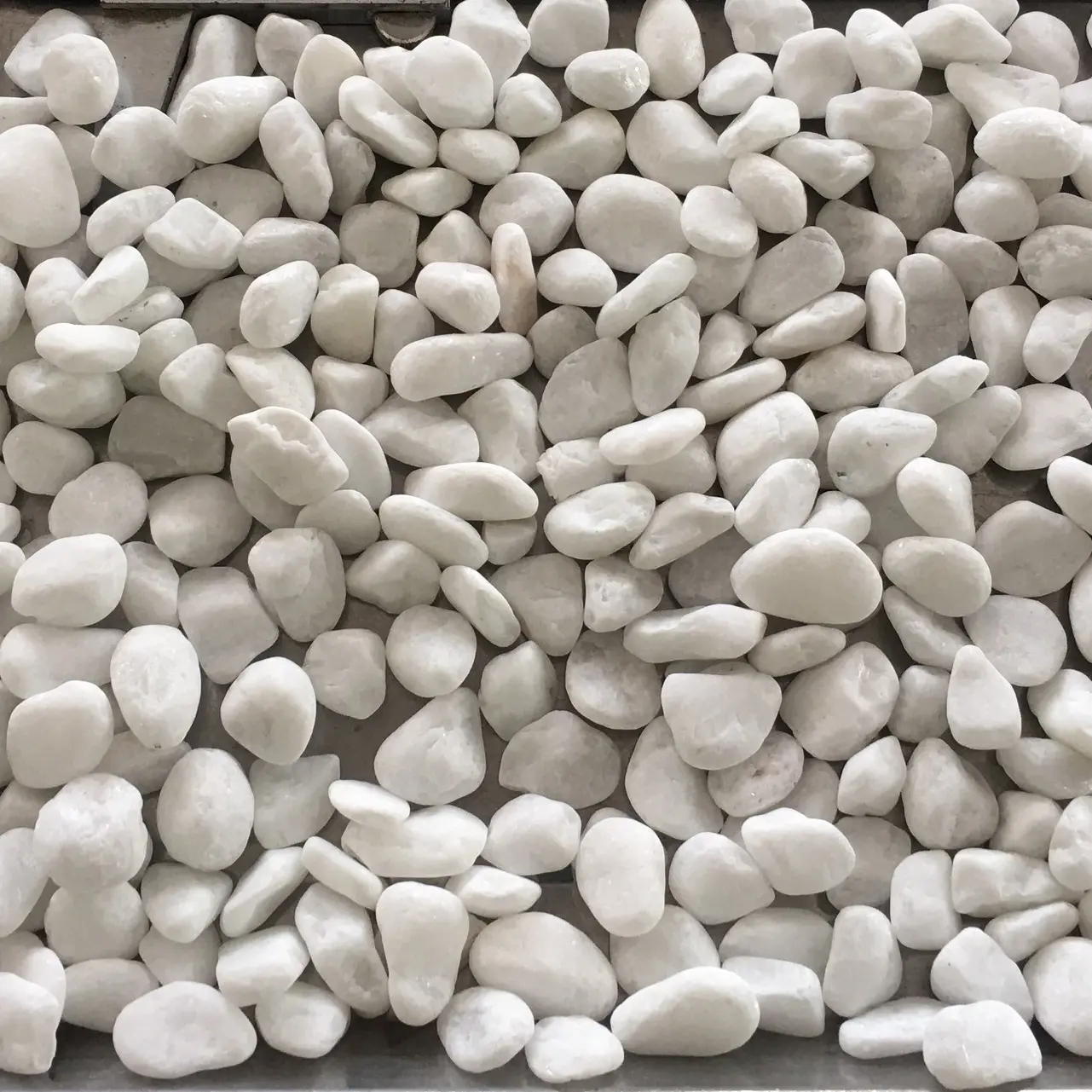 Natural white pebble stone for landscape stone paving stones