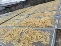 Rastking — poisson de coquillage senseur, maçon séchée, idéal pour un corvin