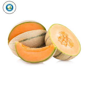 Huile de melon musc pressée à froid 100% qualité thérapeutique biologique prix de gros fournisseur et exportateur avec emballage personnalisé - Product Image 2