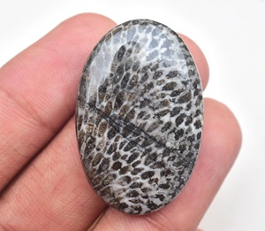 หินฟอสซิลหินกระเบน Cabochon,หินฟอสซิลสีดำ Cabochon - Product Image 1