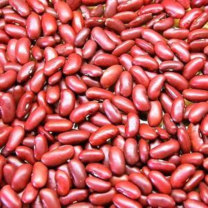 Frijoles Rojos Orgánicos a Granel - Product Image 1