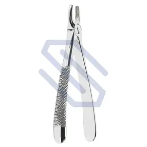 Pinces d'extraction dentaires, Instruments chirurgicaux en acier inoxydable, teinte anglaise, No.2, CE