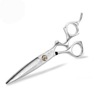 Custom Plastic Handle Stainless Steel Blade High Quality Hair Cutting Scissors - Product Image 1