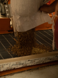 Hecho en Italia-Cápsulas de café 100 compatibles con Dolce Gusto (R)-Colombia Café molido tostado claro de Arábica en caja al por mayor - Product Image 2