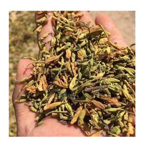 Flor de PAPAYA seca para hombre, de VIETNAM, 99 DATOS DE ORO, venta al por mayor - Product Image 2