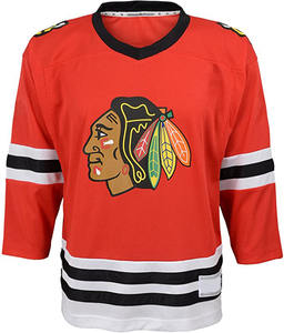 Haute qualité équipe pratique maillot de hockey sur glace sublimation maillot de hockey sur glace Fabricant sialkot - Product Image 2