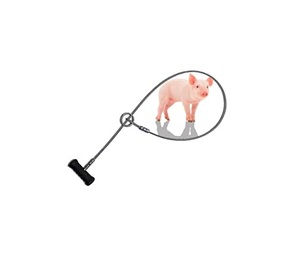 Attrape-porc pour animaux, avec poignée en caoutchouc - Product Image 6