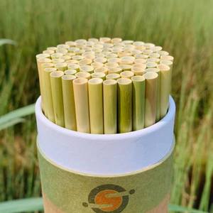 Hot sales ENVIRONMENTALLY FRIENDLY <b>DRINKING</b> <b>STRAWS</b> GREEN AND DRIED - Product Image 2